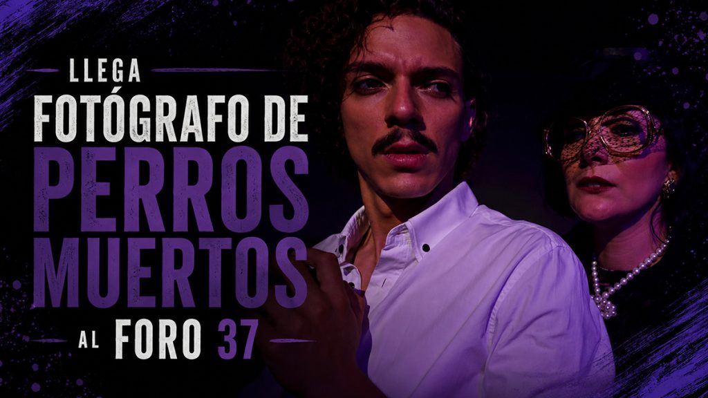 Fotógrafo de Perros Muertos, texto de Alan Márquez Lobato, temporada en Foro 37 Teatro Boutique, Ciudad de México 2018